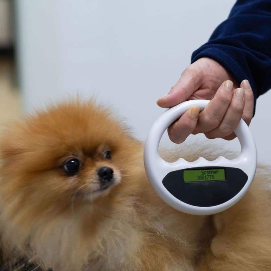 Pet Microchip